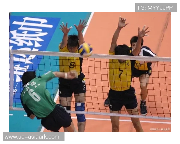 深圳排球队精英赛点评团队协作表现展现团结力量与战术配合的重要性 深圳排球队精英赛点评团队协作表现展现团结力量与战术配合的重要性