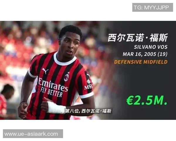 荷兰足球新星崛起近期明星阵容全面解析与展望 荷兰足球新星崛起近期明星阵容全面解析与展望