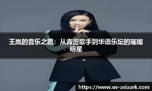 王岚的音乐之路：从青涩歌手到华语乐坛的璀璨明星