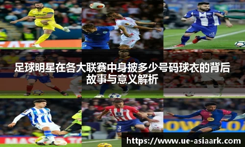 米兰体育